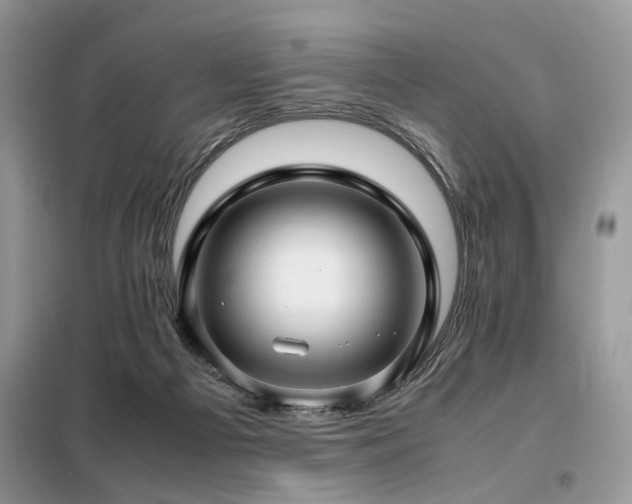 X0000099410121200805091229