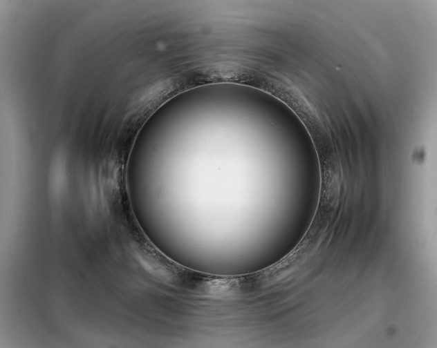 X0000099410126200805091229