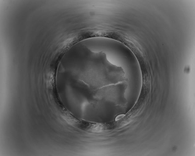 X0000099410127200805091229