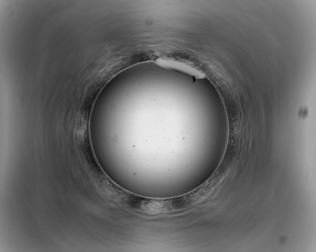 X0000099410129200805091229