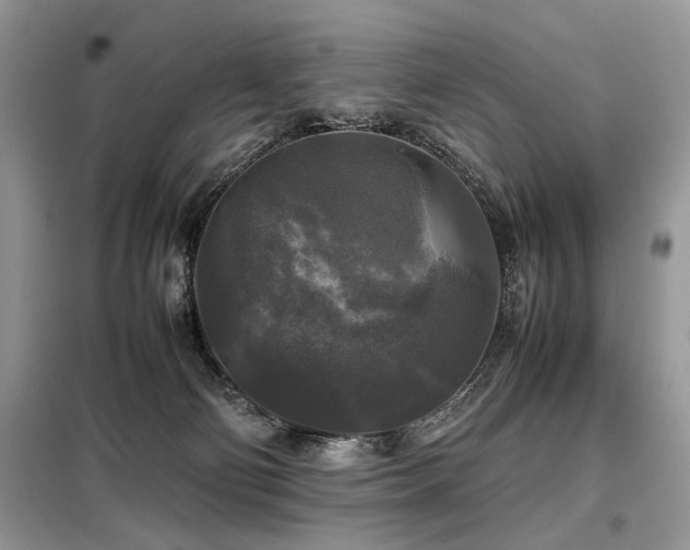 X0000099410130200805091229
