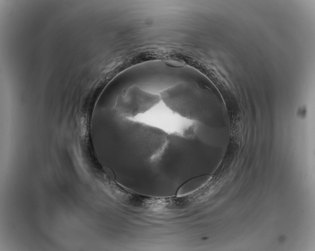X0000099410131200805091229