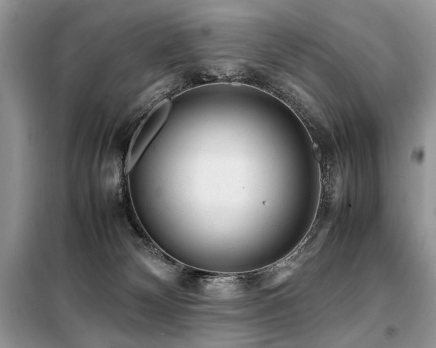 X0000099410132200805091229