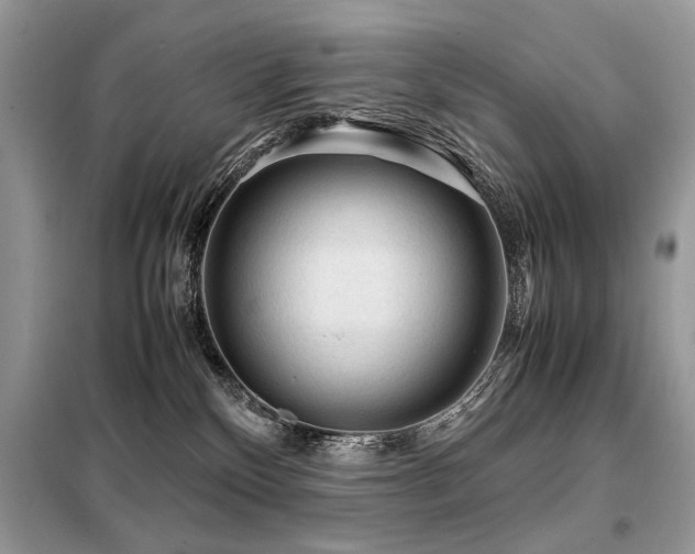 X0000099410136200805091228