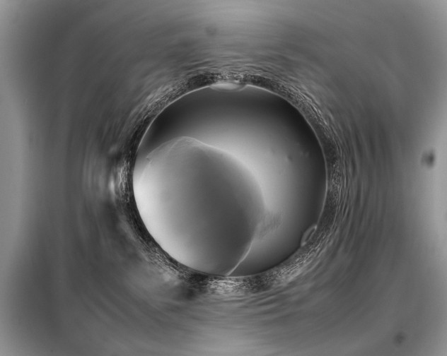 X0000099410139200805091228