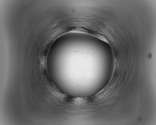 X0000099410141200805091228