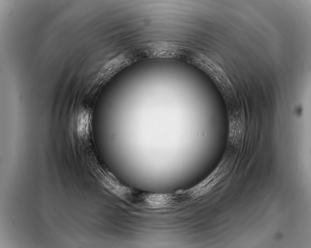 X0000099410142200805091228
