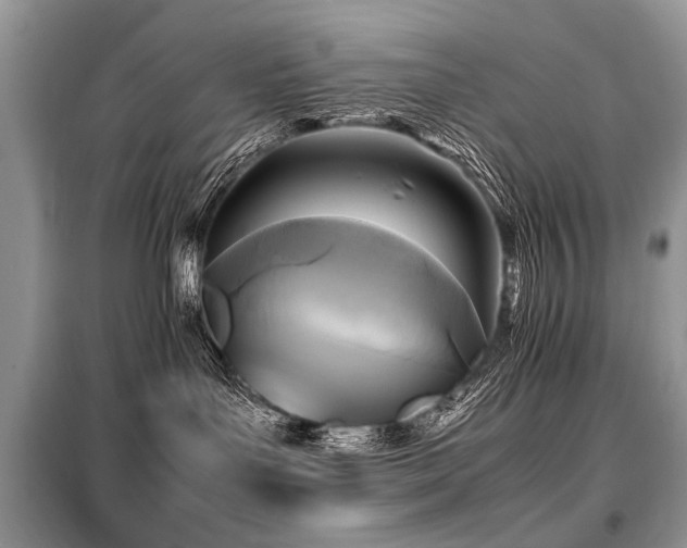 X0000099410143200805091228