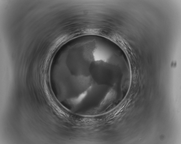 X0000099410145200805091227