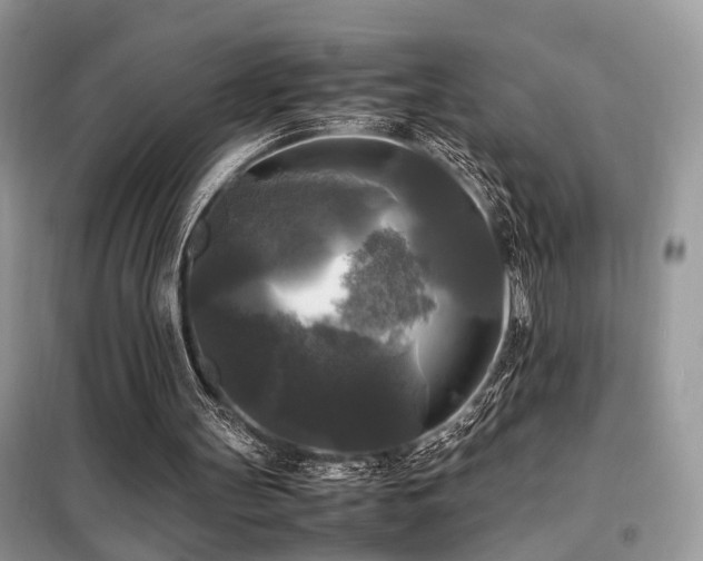 X0000099410147200805091227