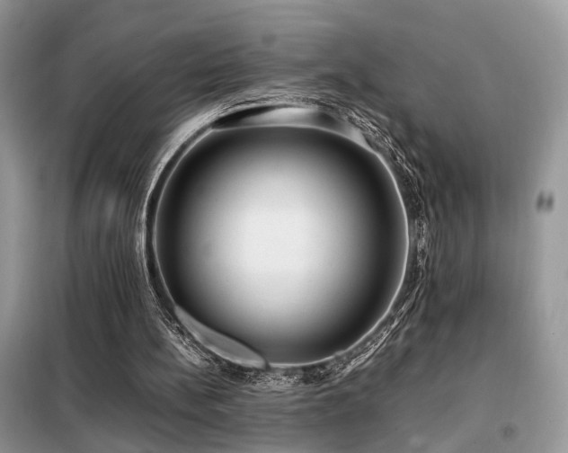 X0000099410148200805091227