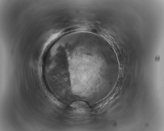 X0000099410149200805091227