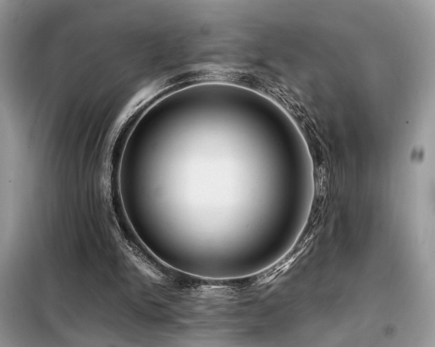 X0000099410150200805091228
