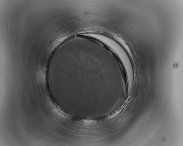 X0000099410154200805091228