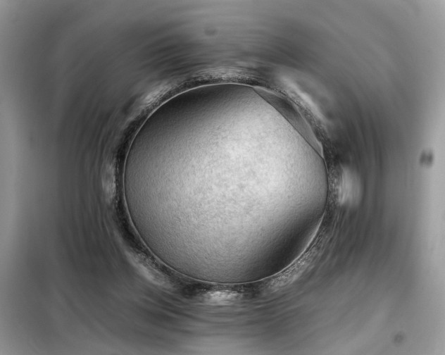 X0000099410158200805091228