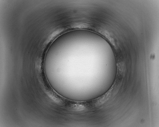 X0000099410159200805091228