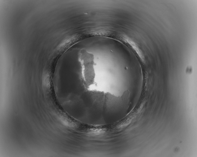 X0000099410161200805091228