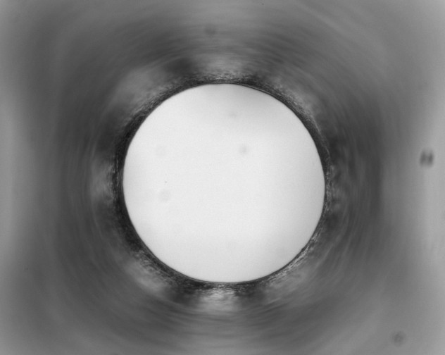 X0000099410162200805091228