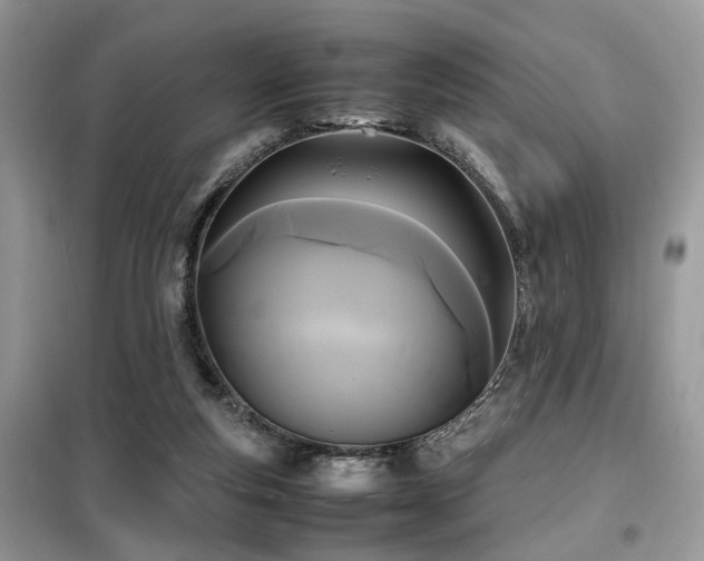 X0000099410163200805091228