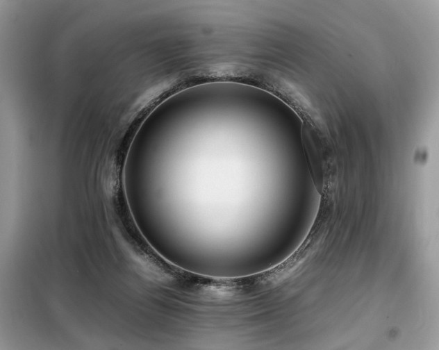 X0000099410164200805091228