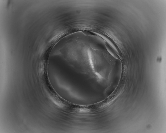X0000099410165200805091228