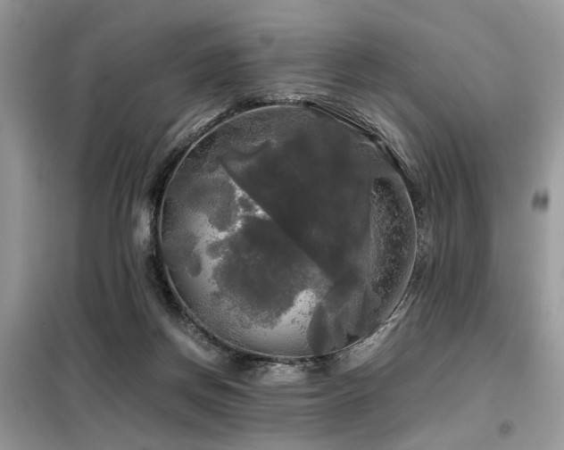 X0000099410166200805091228