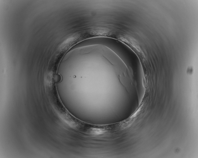 X0000099410167200805091228
