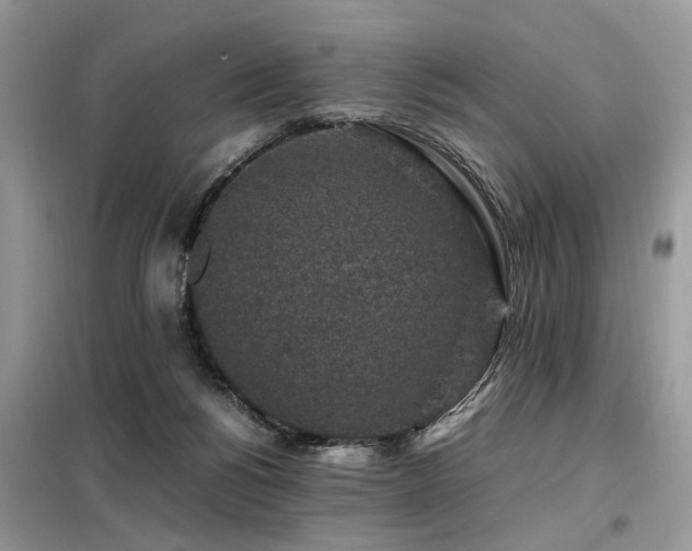 X0000099410168200805091228