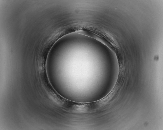 X0000099410170200805091228