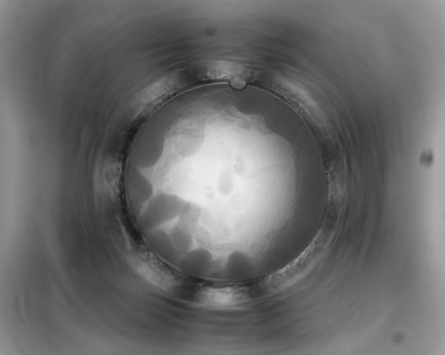 X0000099410171200805091228