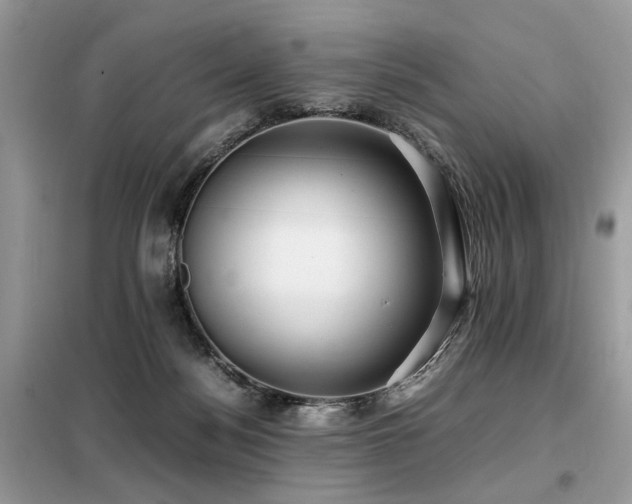 X0000099410172200805091228