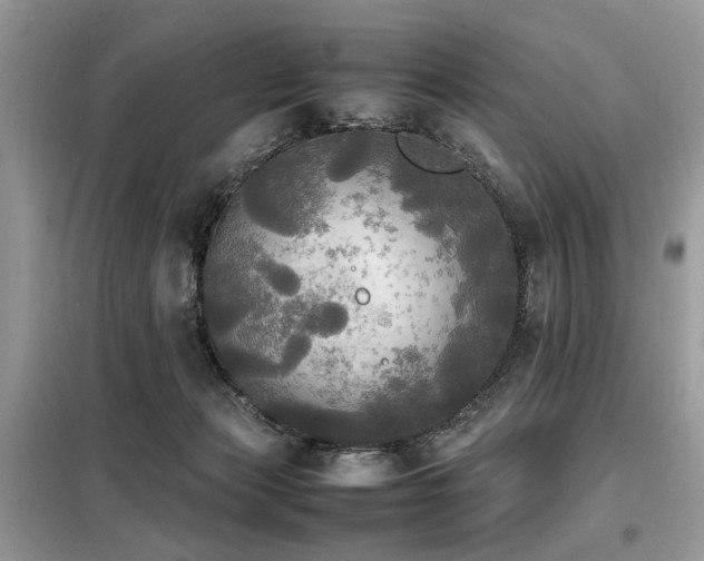 X0000099410173200805091228