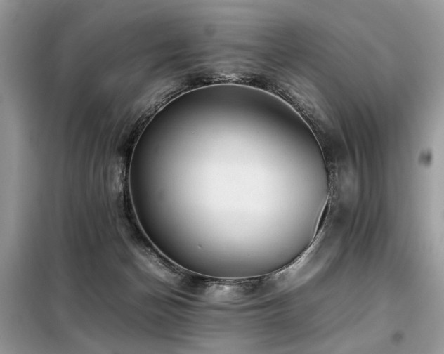 X0000099410174200805091228