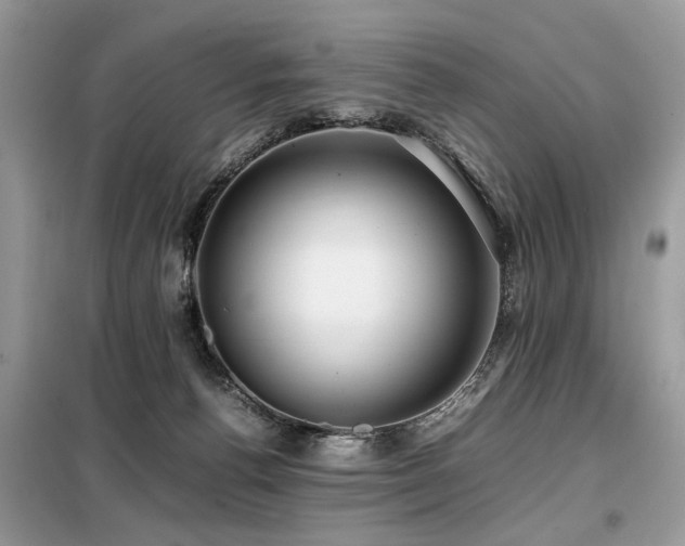 X0000099410176200805091228