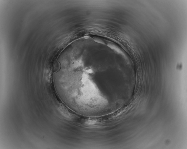 X0000099410177200805091228