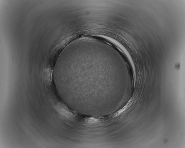 X0000099410180200805091228
