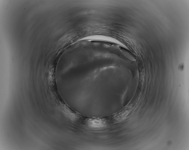 X0000099410181200805091228