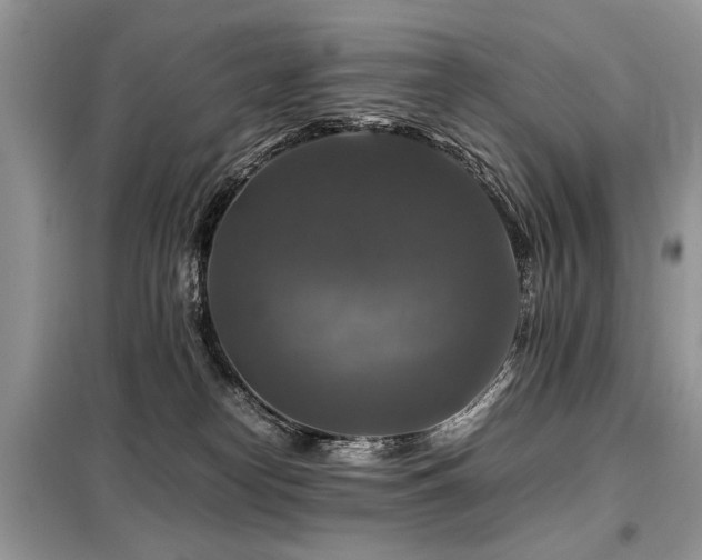 X0000099410182200805091228