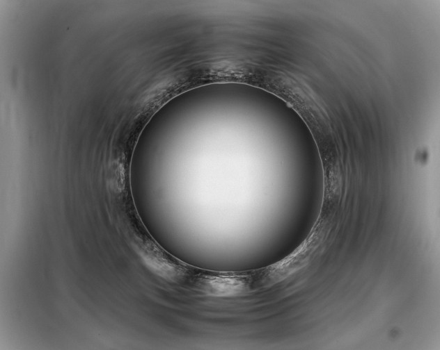 X0000099410183200805091228