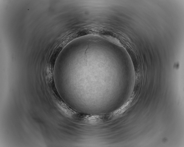 X0000099410186200805091228