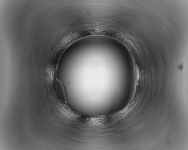 X0000099410188200805091228