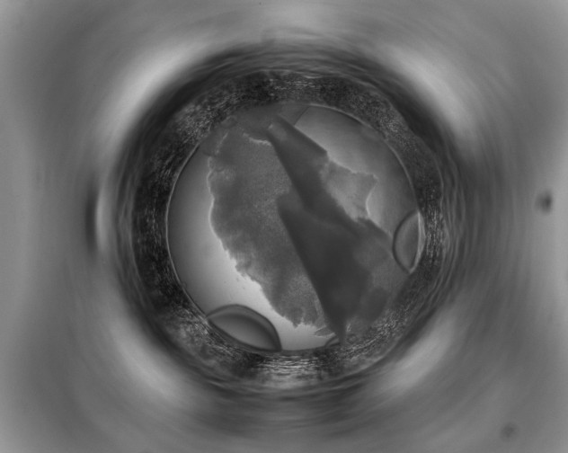 X0000099410189200805091228