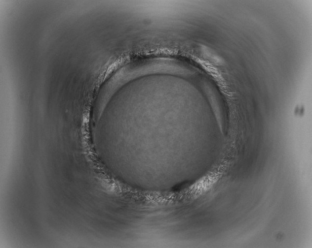 X0000099410192200805091228