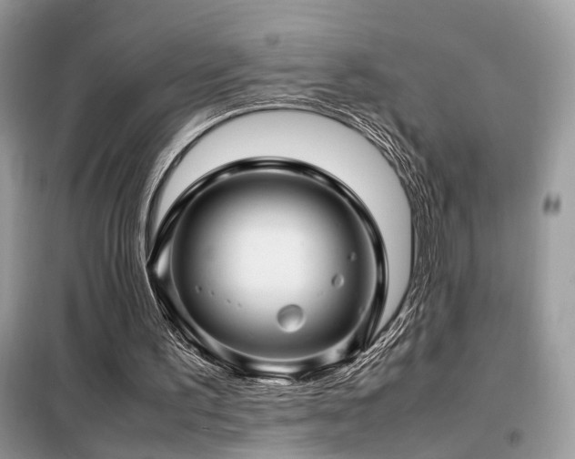 X0000099410195200805091227