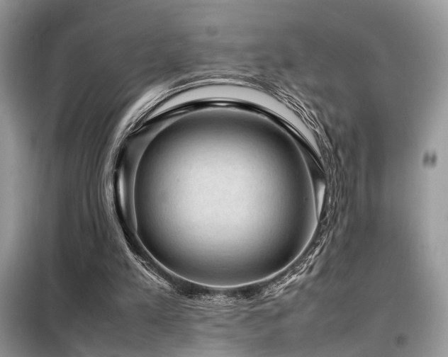 X0000099410197200805091227