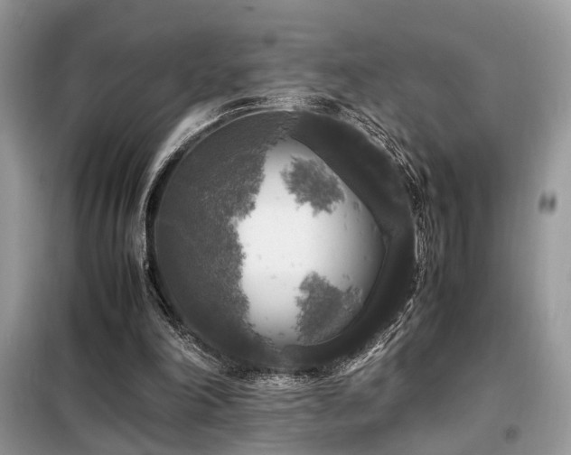 X0000099410198200805091227