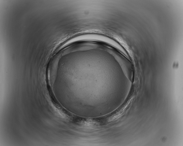 X0000099410201200805091227