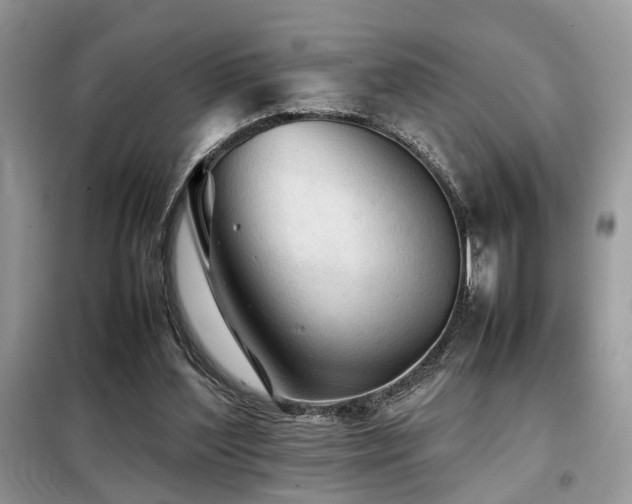 X0000099410204200805091227