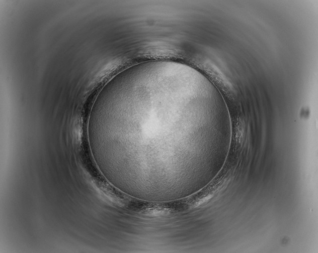 X0000099410206200805091227