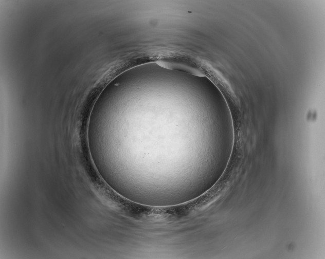 X0000099410209200805091227